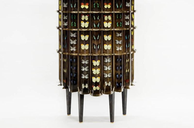 Erwan Boulloud – Evolution by Judith Gura