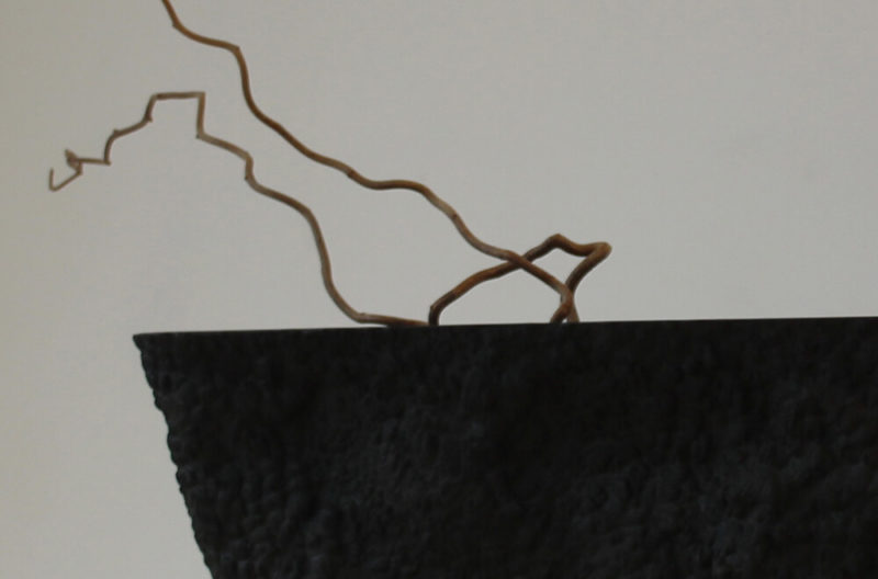 Małgorzata Bany by TDE News