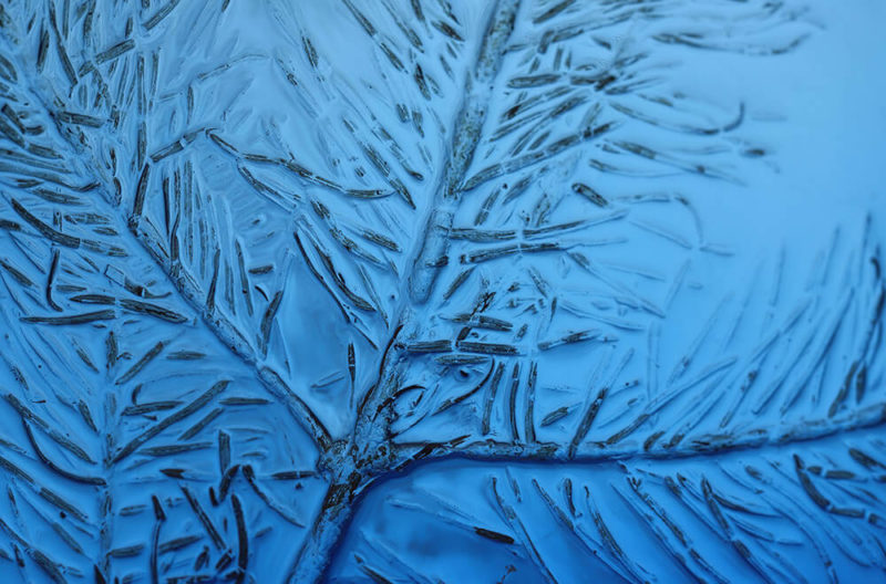 Paris Dispatch by Anna Sansom