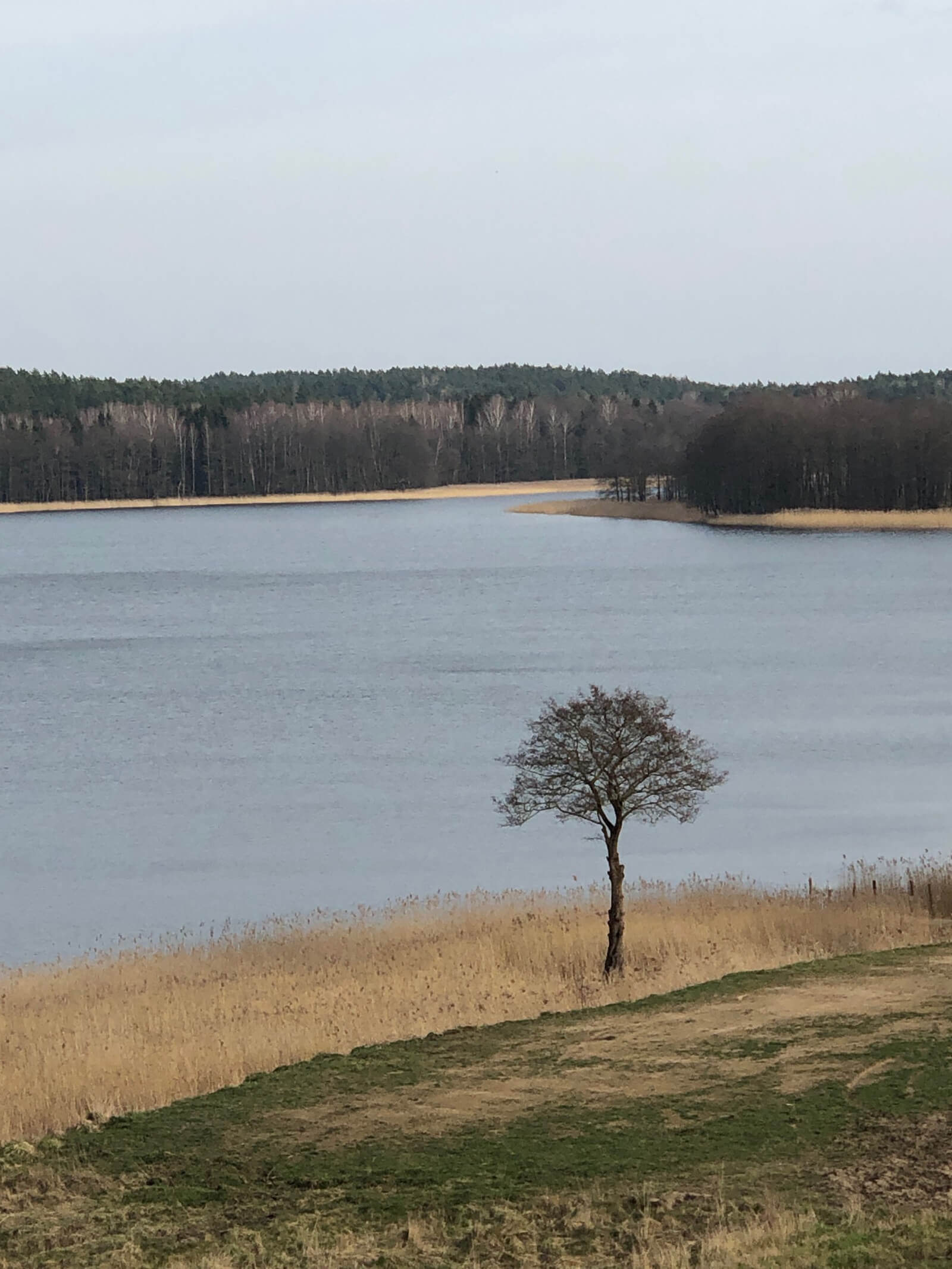View over the lake COURTESY: Marcin Rusak / PHOTOGRAPH: Marcin Rusak