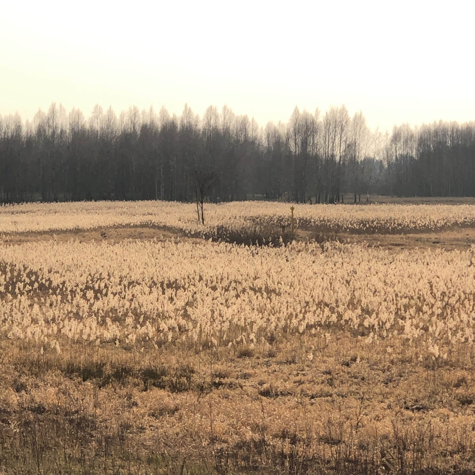 Surrounding countryside COURTESY: Marcin Rusak / PHOTOGRAPH: Marcin Rusak