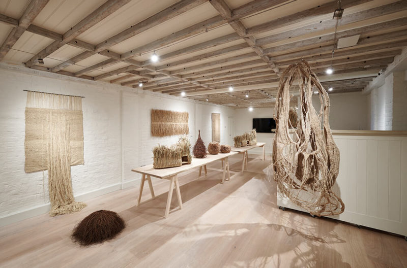 Collectible Conversations: Sarah Myerscough by TDE News