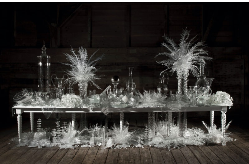 ‘Laid (Time-) Table with Cycads’, 2015 by Adrian Madlener