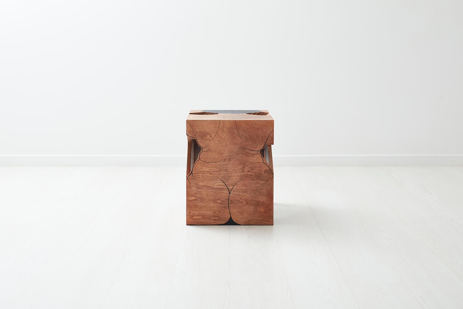 Saelia Aparicio, 'Lizzo', 2020 COURTESY: Gallery FUMI