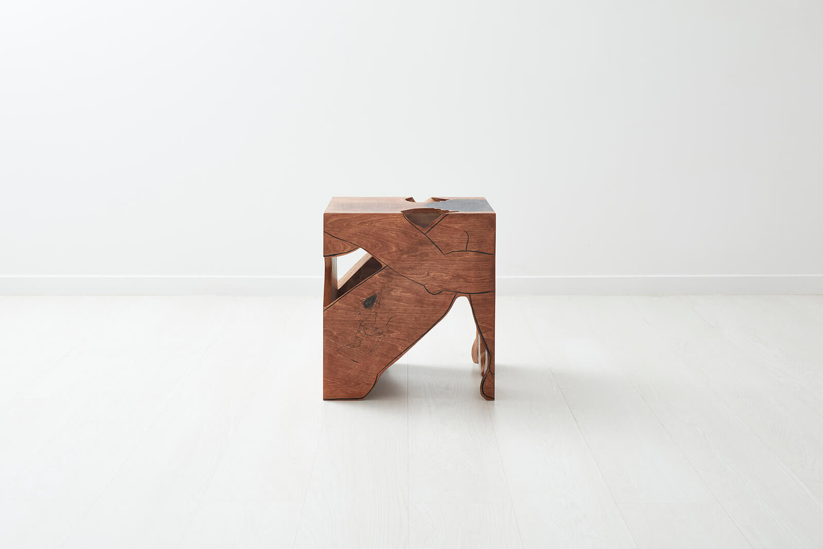 Saelia Aparicio, 'Lizzo', 2020 COURTESY: Gallery FUMI