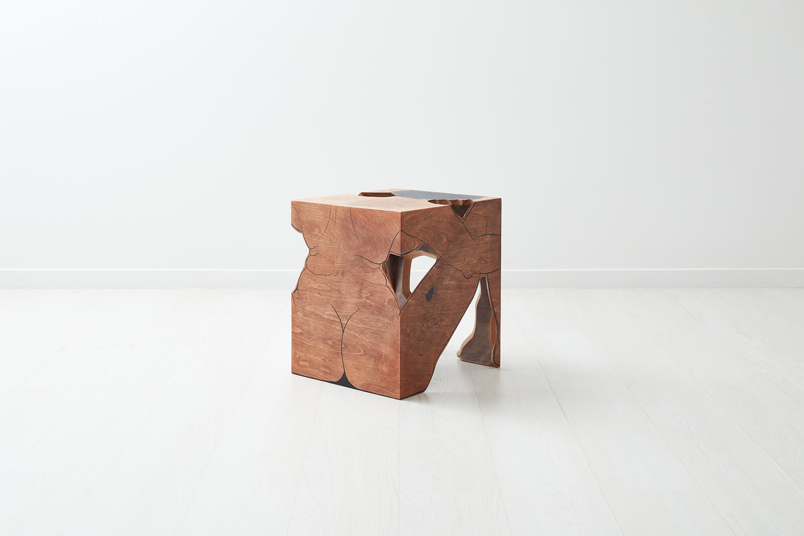 Saelia Aparicio, 'Lizzo', 2020 COURTESY: Gallery FUMI