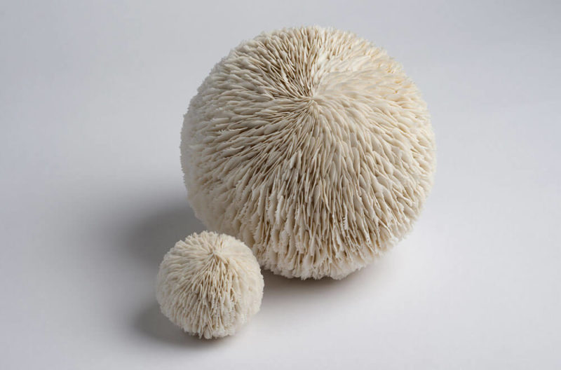 Collect 2022 / 5 top picks by Louis Barnard