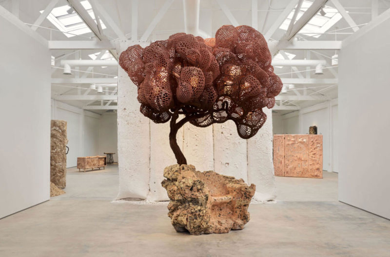 Nacho Carbonell by Emma Crichton-Miller