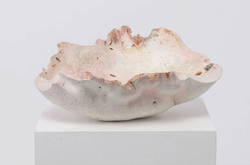 Julian Watts – Ash Swale by Emma Crichton-Miller