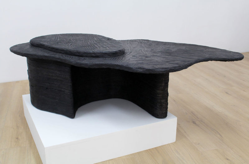 ‘Organic Yakisugi n2’, 2020 by Anna Sansom