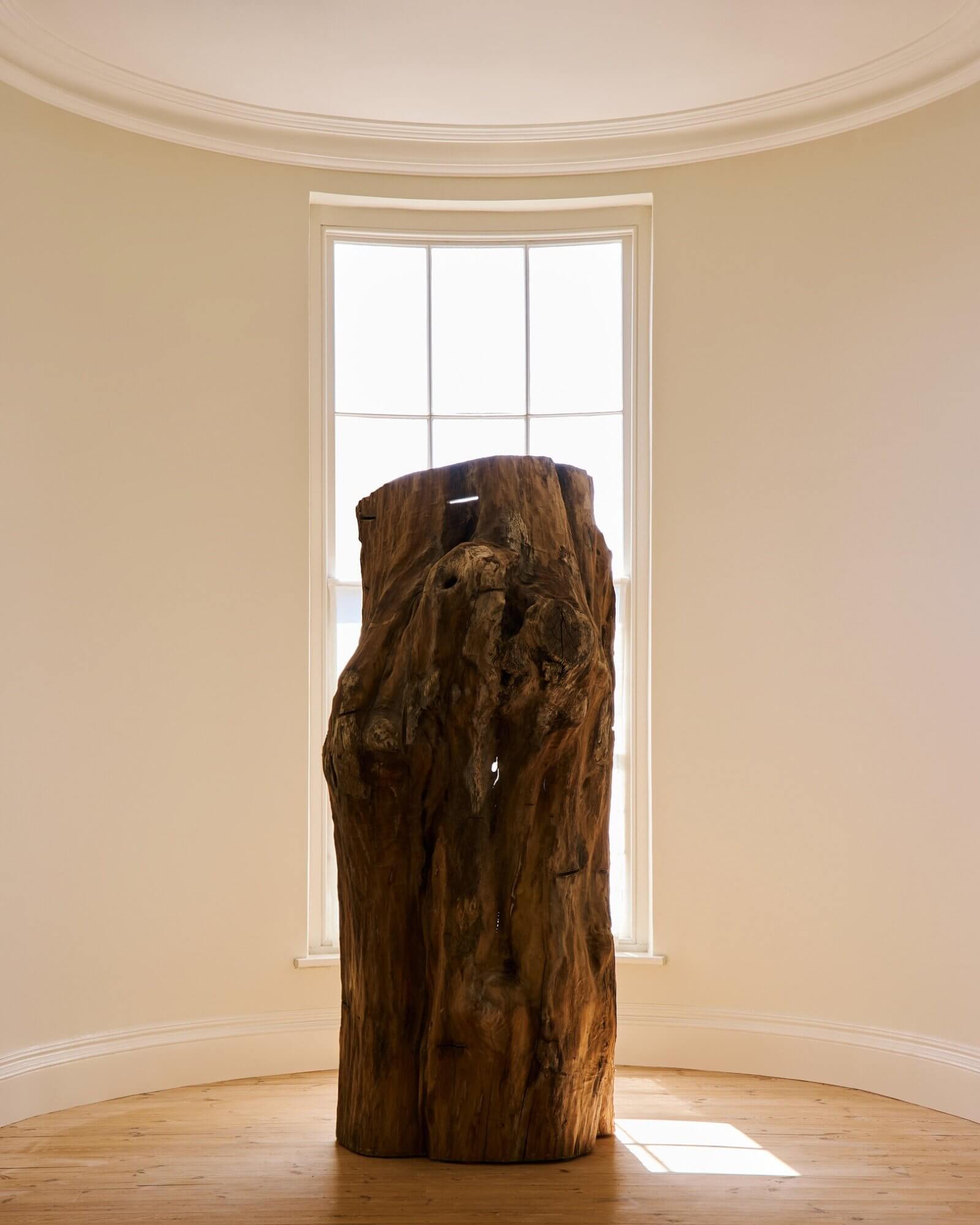 Exhibition view, ‘South of the River’, with Forest + Found | Max Bainbridge, ‘Corpus’, 2026 COURTESY: Forest + Found & 8 Holland Street