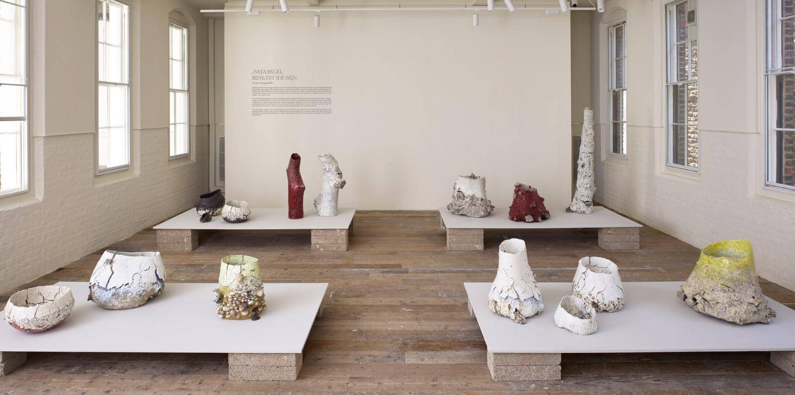 Exhibition view ‘Beneath the Skin’ by Aneta Regel COURTESY: © The Artist & Sarah Myerscough Gallery / PHOTOGRAPH: © Gareth Hacker