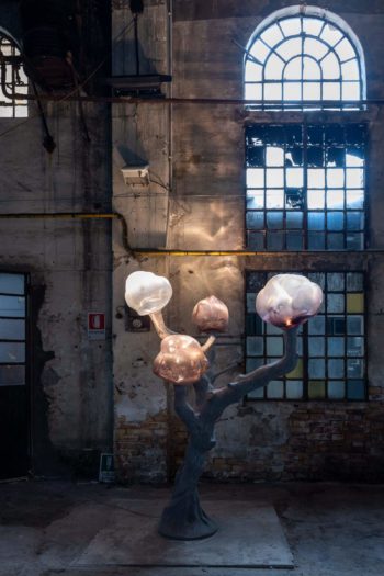Irene Cattaneo & Fondazione Berengo, ‘Forget Me No-w/t’, 2024 COURTESY: © The Artist